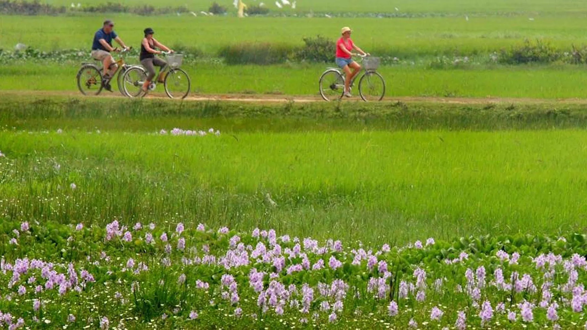 菠萝蜜寄宿旅馆 会安 0*,  越南